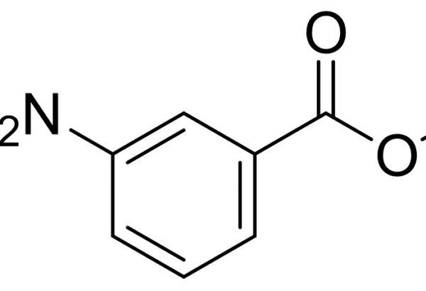 Methyl 3-Aminobenzoate 1 Methyl 3-Aminobenzoate