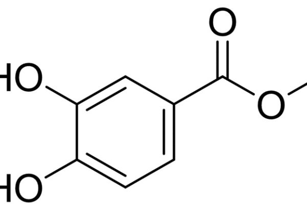 Methyl 3,4-Dihydroxybenzoate