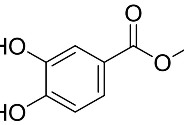 Methyl 3,4-Dihydroxybenzoate