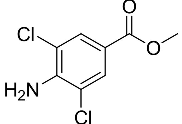 Methyl 4-Amino-3,5-Dichlorobenzoate
