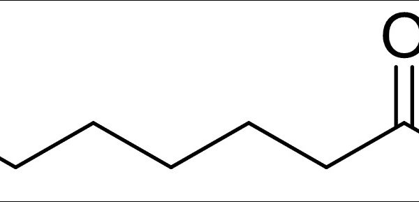 Methyl Octanoate
