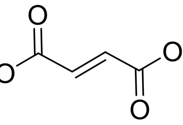 Monomethyl fumarate