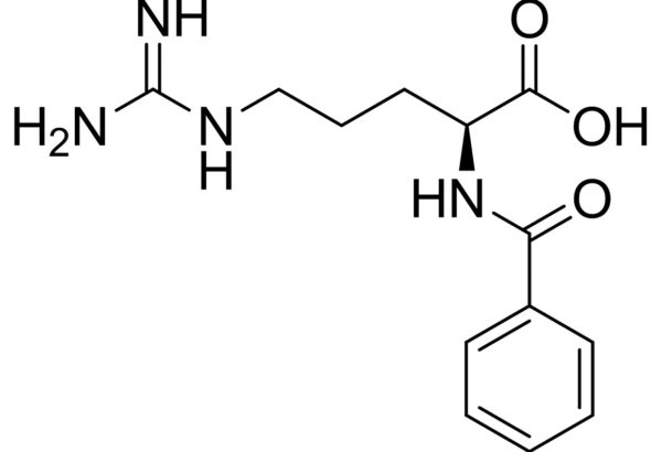 N-Benzoyl-L-arginine