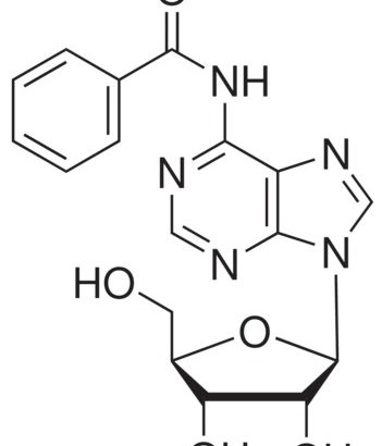 N-Benzoyladenosine