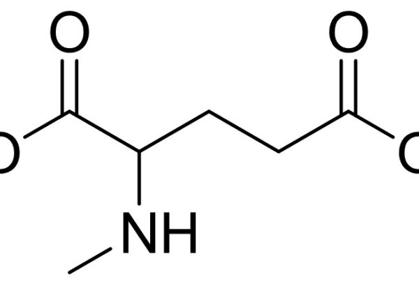 N-Methyl-DL-Glutamic Acid