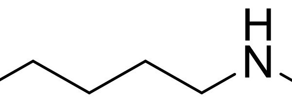 N-Methylpentylamine