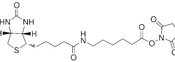 N-Succinimidyl 6-Biotinamidohexanoate