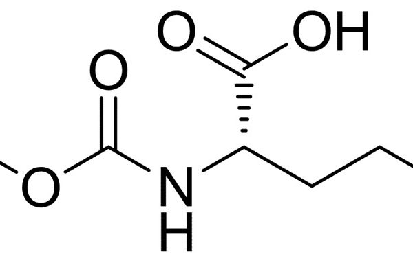 N-T-Boc-L-Homoserine