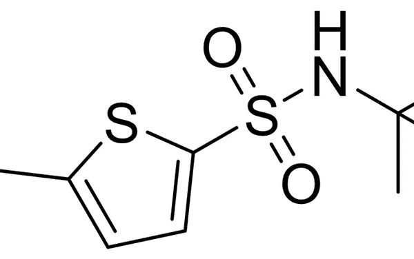 N-Tert-Butyl-5-Chlorothiophene Sulfonamide