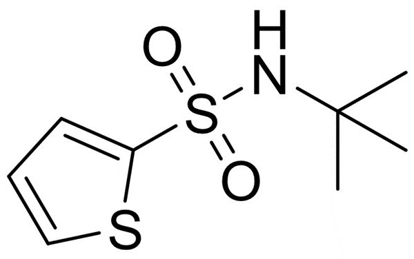 N-tert-Butyl-2-thiophenesulfonamide