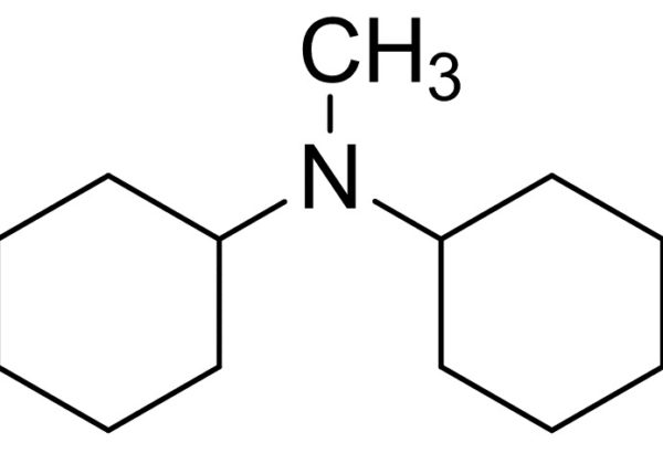 N,N-Dicyclohexylmethylamine