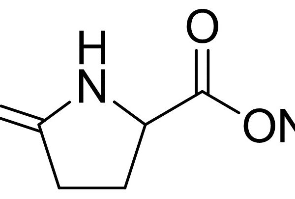 Sodium 5-Oxopyrrolidine-2-carboxylate