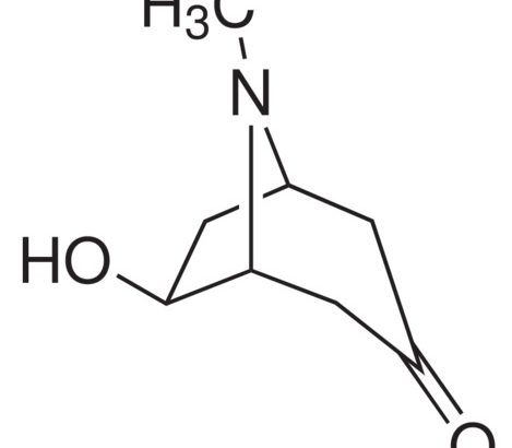exo-6-Hydroxytropinone