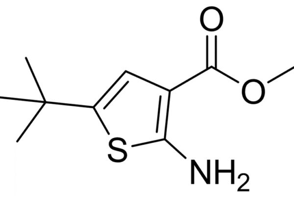 methyl 2-amino-5-tert-butylthiophene-3-carboxylate