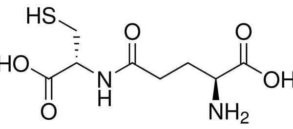 γ-Glu-Cys