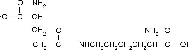 γ-Glu-ε-Lys